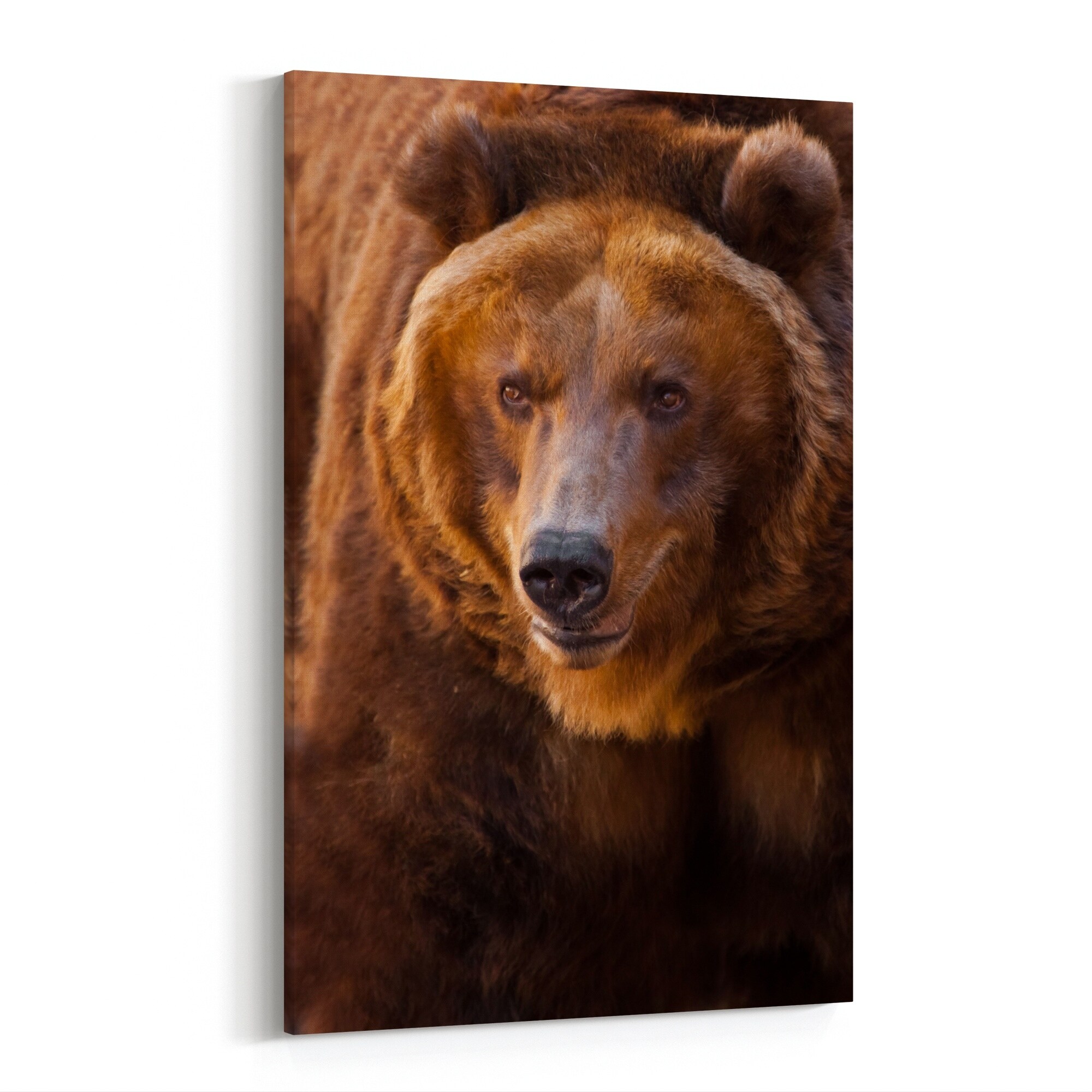 Shop Black Friday Deals On Animals Bear Forest Grizzly Bear Nature Canvas Wall Art Print Overstock 31652215