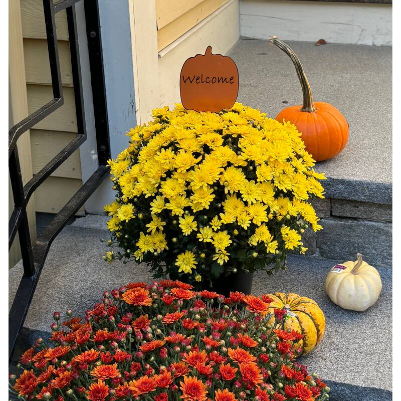 14" Iron Fall Orange Pumpkin to Personalize Figure Pick, Set of 3 - 14