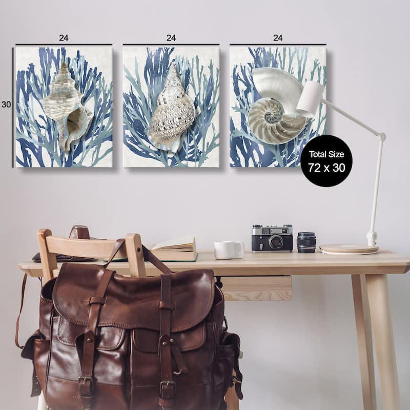 Stupell Trio of Shell Coral Blue Beach Design, 3pc Multi Piece Canvas Wall Art Set