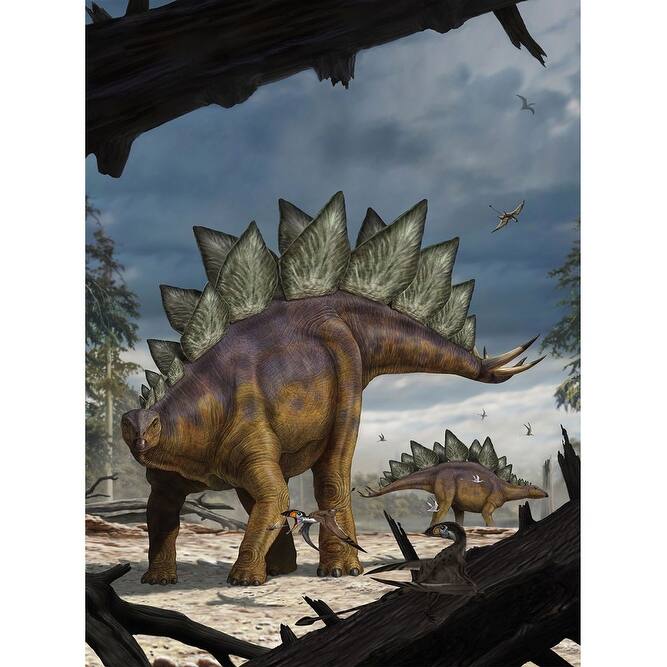 Komar Stegosaurus Wall Mural