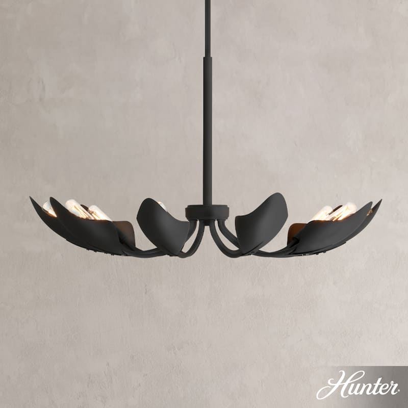Hunter Juneway 10 Light Chandelier – Transitional, Modern/Contemporary – Dining Room, Living Room, Bedroom, Entry - Matte Black