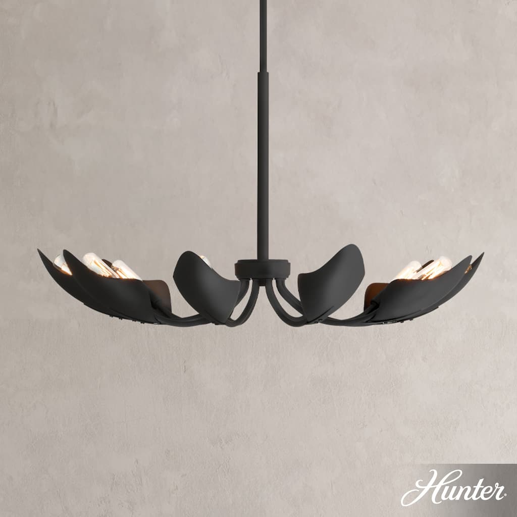 Hunter Juneway 10 Light Chandelier – Transitional, Modern/Contemporary – Dining Room, Living Room, Bedroom, Entry
