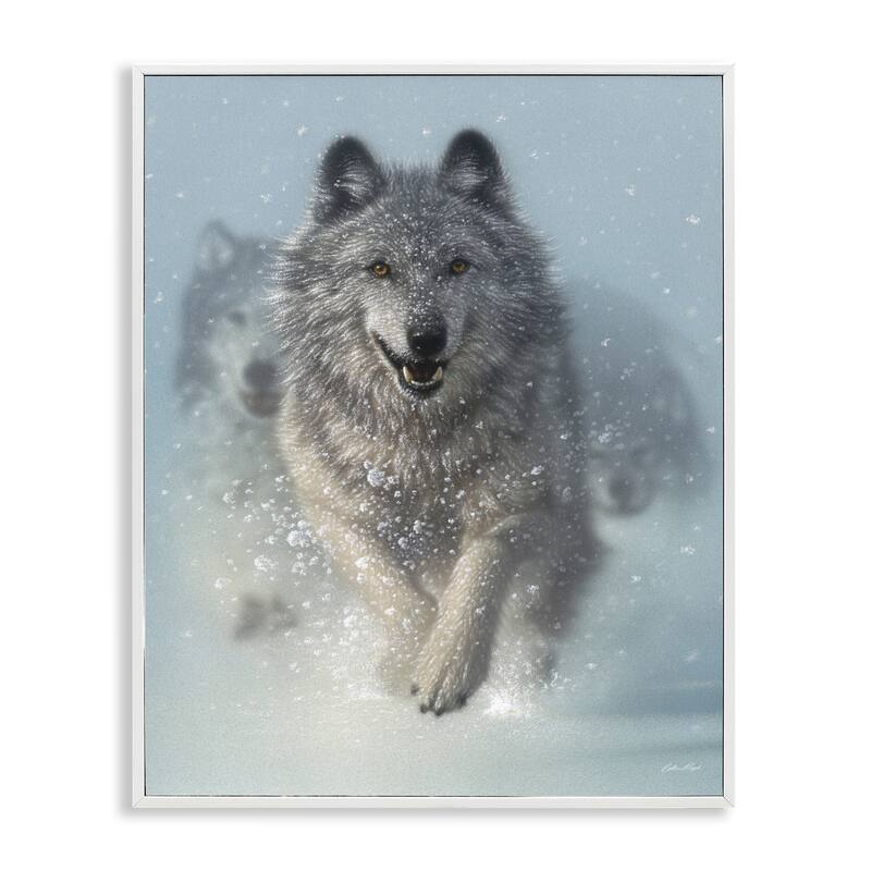 Stupell Wolves Running Through Snow Siberian Wild Winter Animals Framed Wall Art - 16 x 20 - White