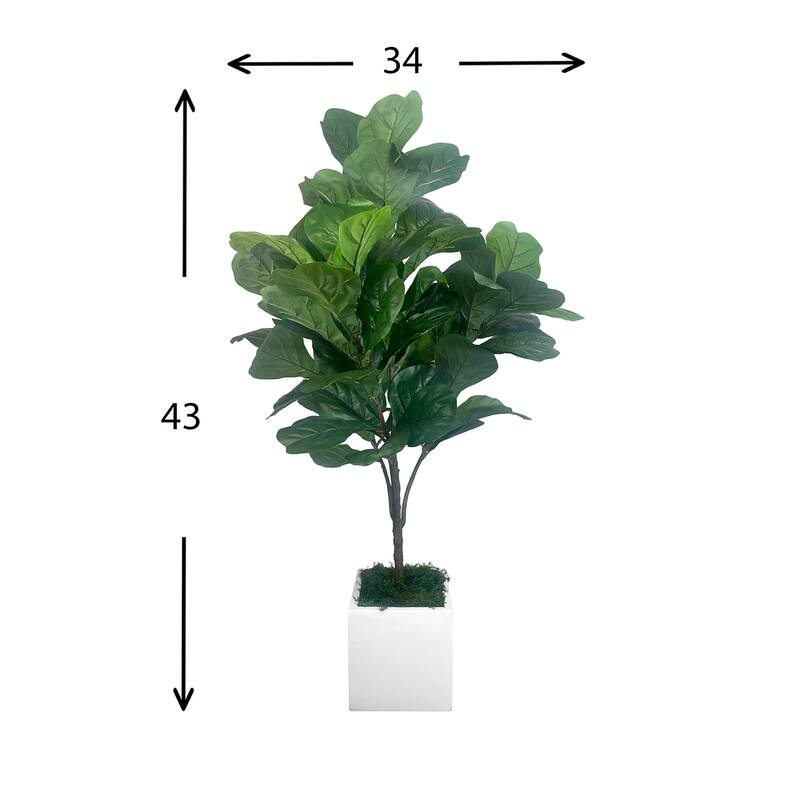 3.5 ft Fiddle Tree in Fiberstone Planter - Green