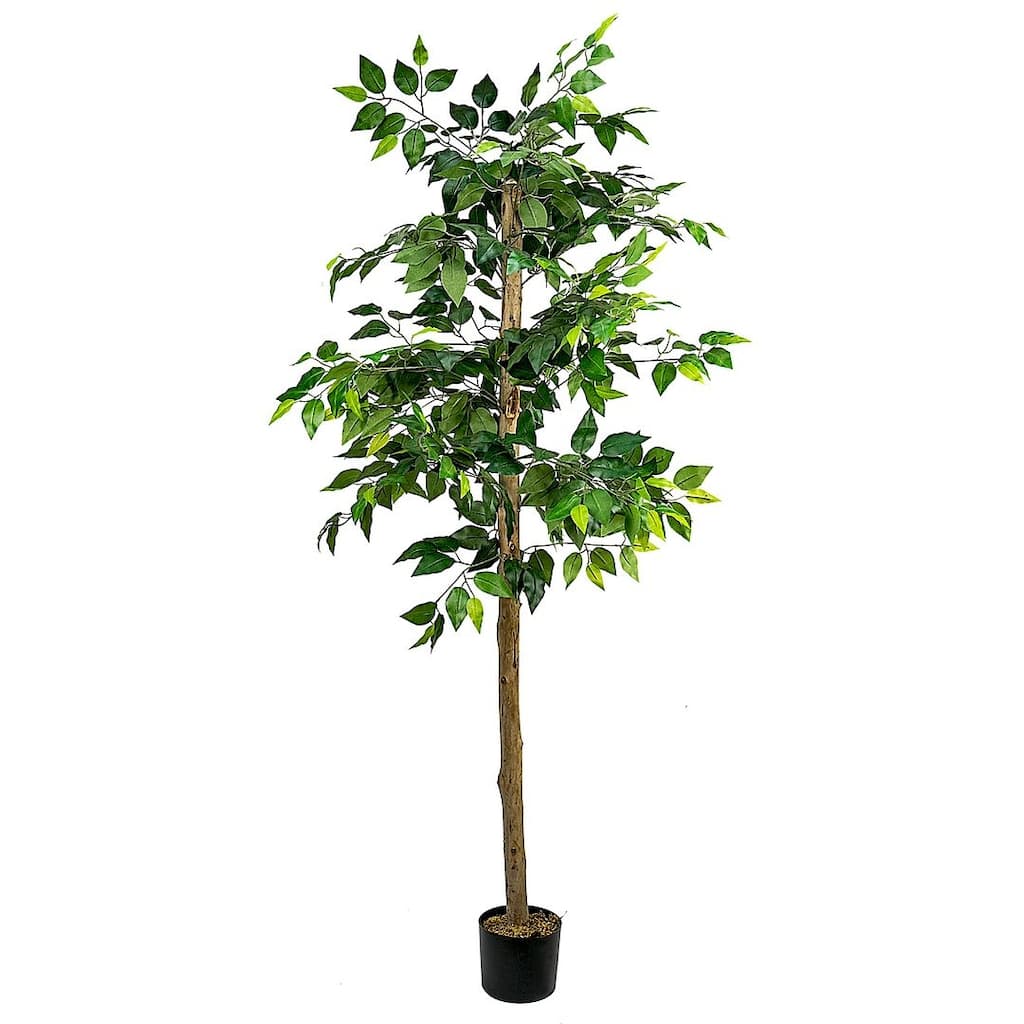 6-foot Artificial Ficus Tree in Pot