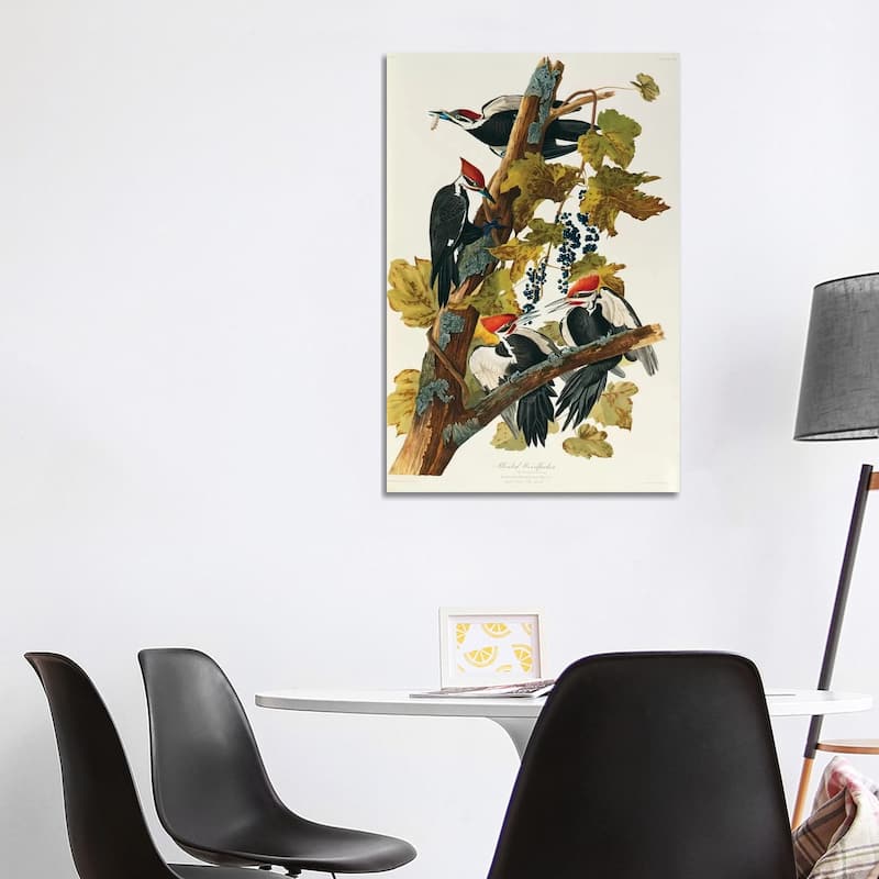 iCanvas "Pileated Woodpecker (Plate 111, Birds Of America)" by John James Audubon Canvas Print - 40x26x1.5