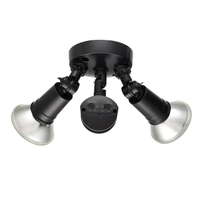 Millennium Lighting M-16002 Double Light 11-1/4" Wide Outdoor Flood - Powder Coated Black