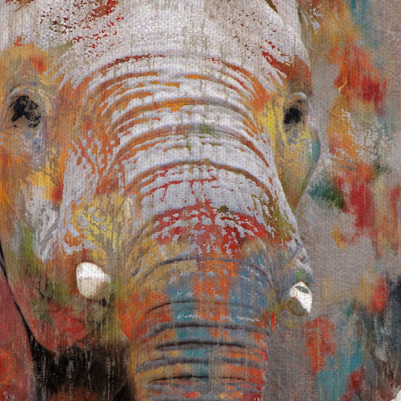 Paint Splash Elephant by Nan Canvas Art Print