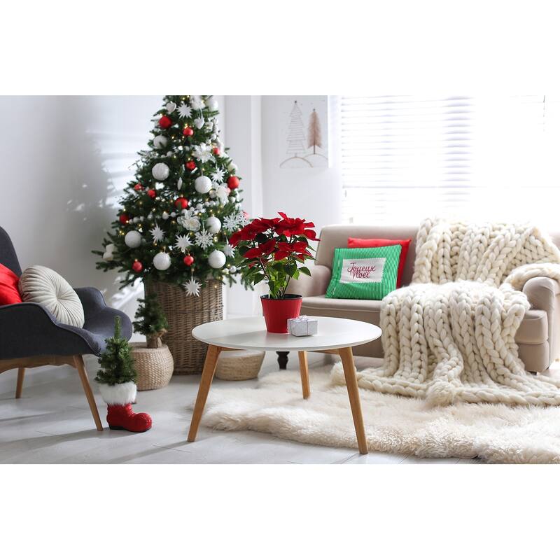 Joyeux Noel Ticking Christmas Accent Pillow