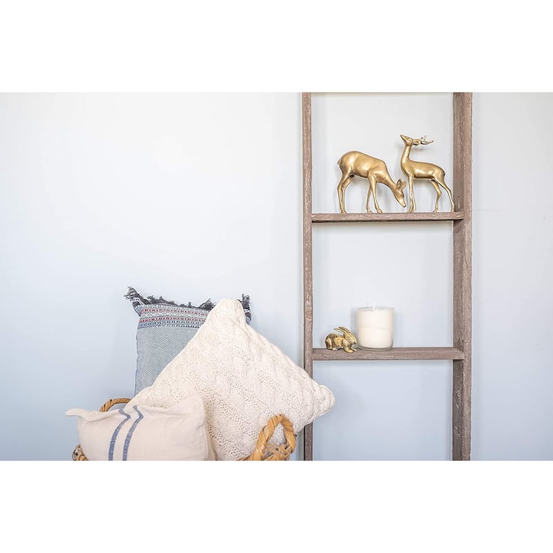 Rustic 5 Feet Wooden Ladder Shelf Outdoor Wall Accent with Varnish Finish for Hang or Lean Anywhere - 15"W x 5"D x 57"H