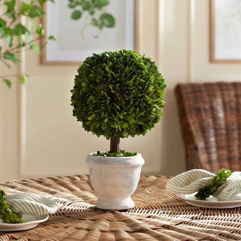 Boxwood Single 9" Ball Topiary In Pot - Green