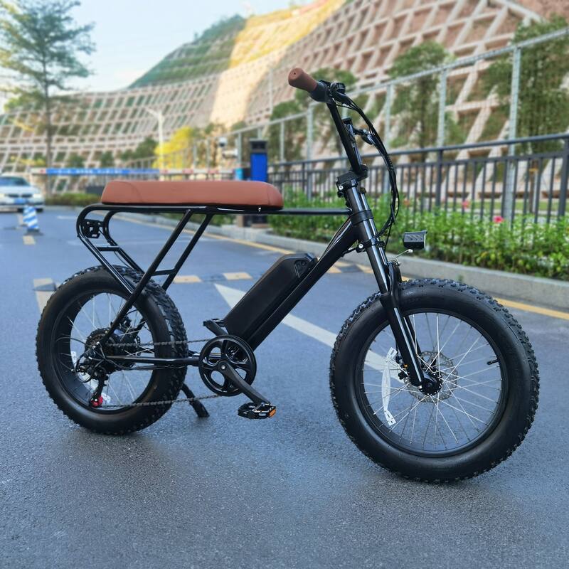 4" Wide Tires Shimano 6-Speed E-Bike with Removable Battery