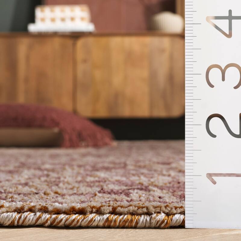 SAFAVIEH Audrey Handmade Danai Rug