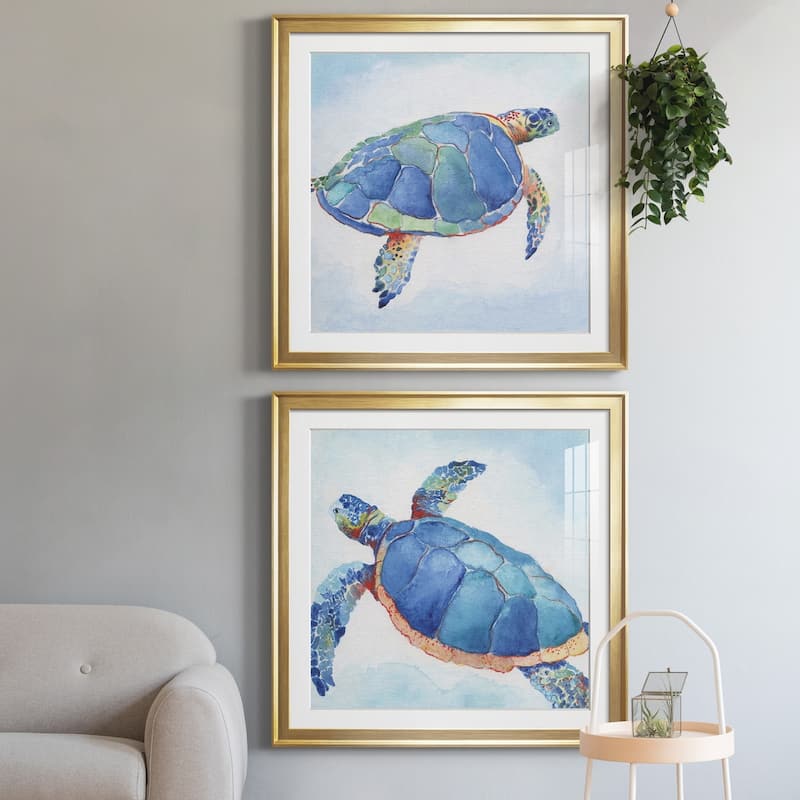 Galapagos Sea Turtle I Premium Framed Print - Ready to Hang