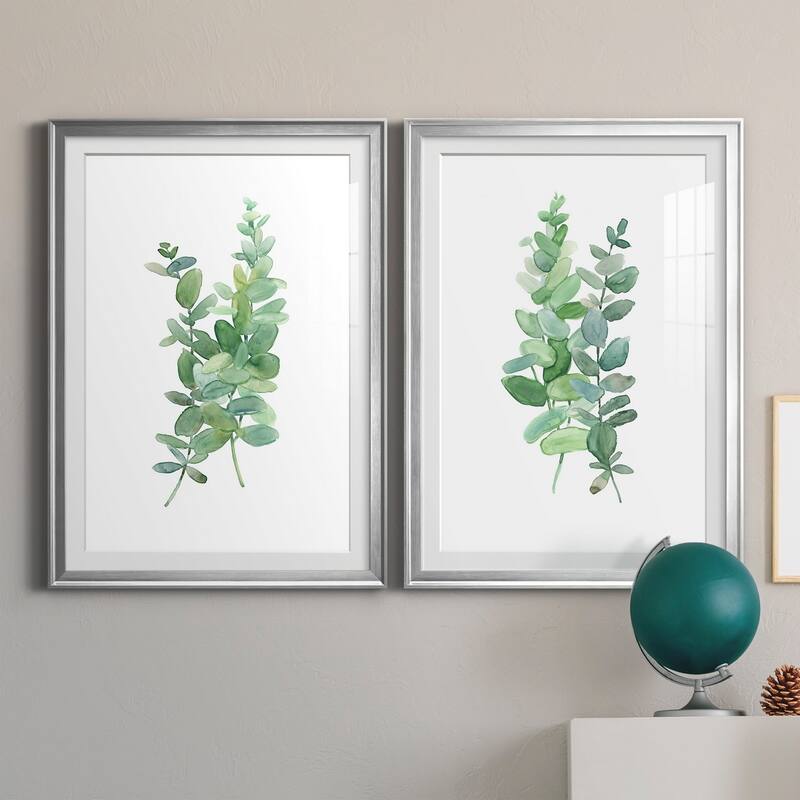 Eucalyptus I Premium Framed Print - Ready to Hang