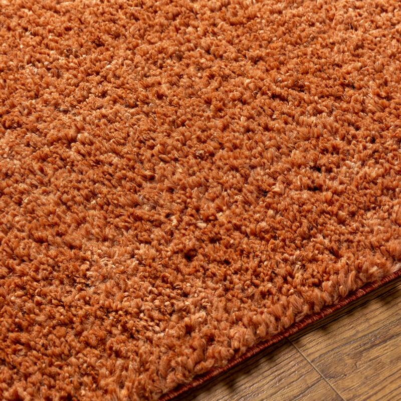 Artistic Weavers Cassey Cozy Plush Shag Area Rug