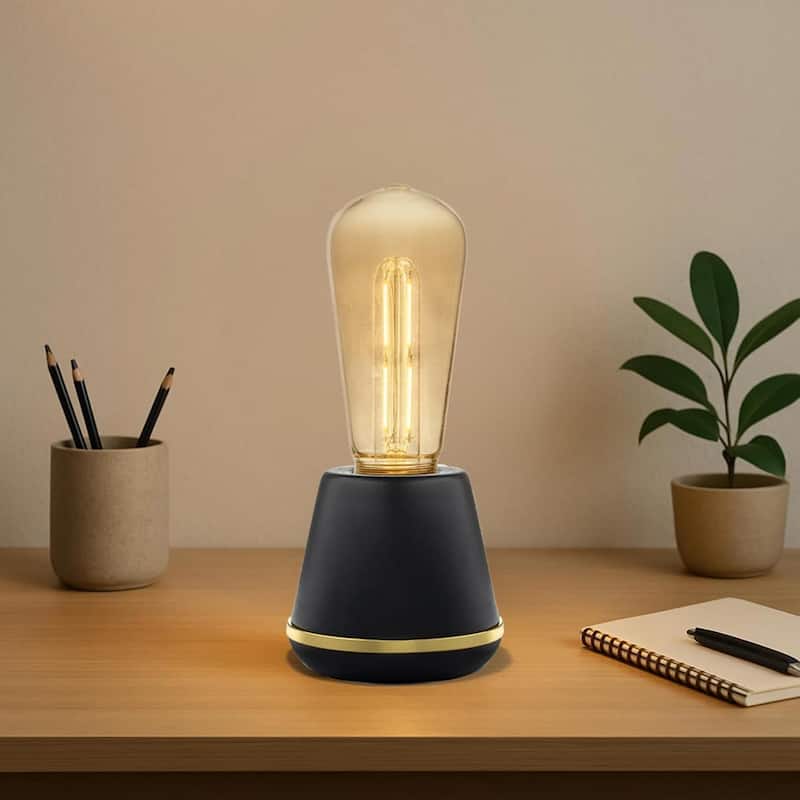 Festive Living LED ST19 + T25 Bulb Indoor/Outdoor Covered Edison Bulbs, E26 Base - Large