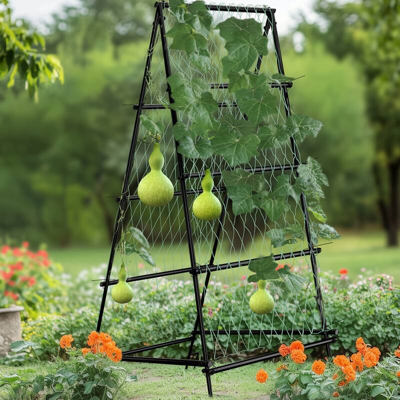 Triangle Garden Arch Trellis for Climbing Plants