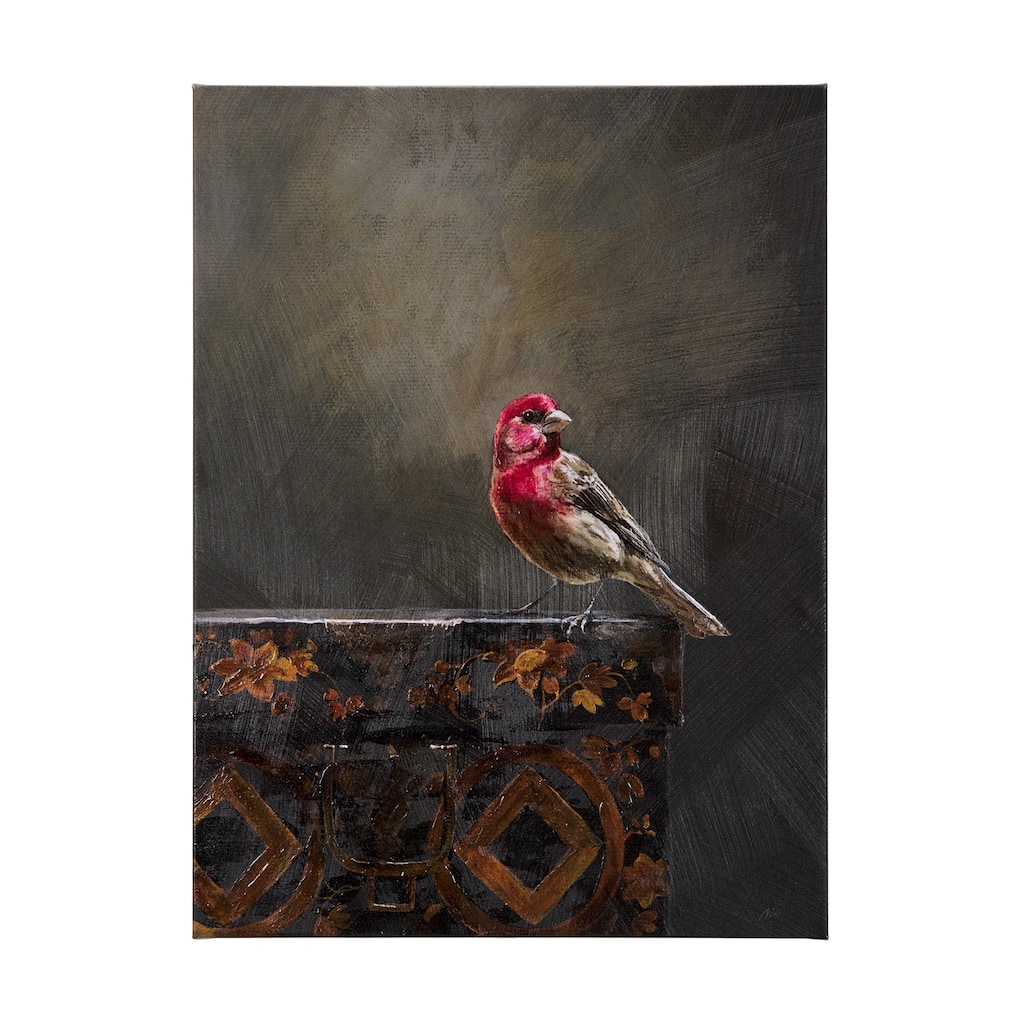 Graceful Poise I (House Finch)(42 x 56) Canvas Art Print