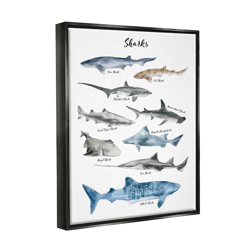 Stupell Nautical Shark Chart Watercolor Marine Animals Floater Frame - White