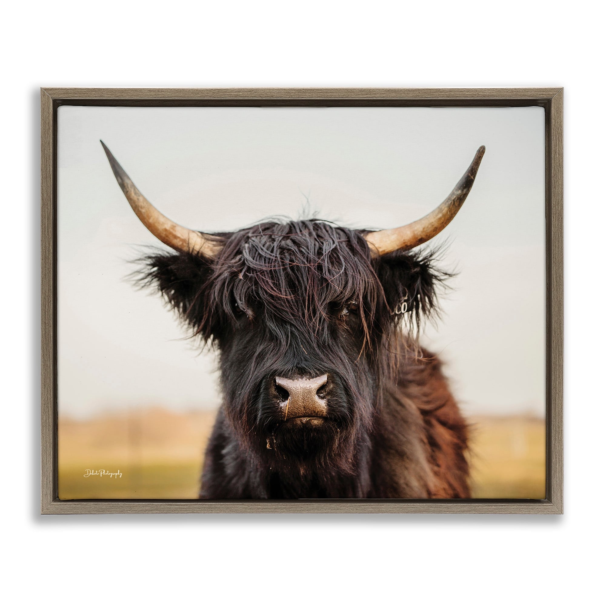 Stupell Black Highland Cow Portrait Framed Floater Canvas Wall Art Design by Dakota Diener