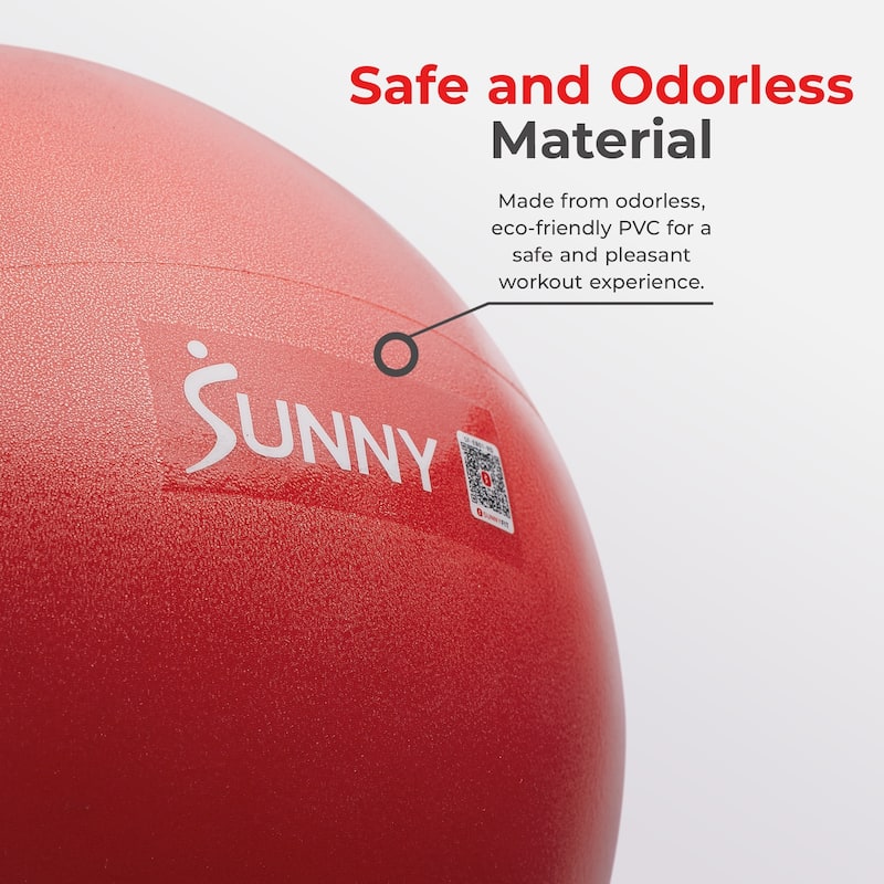 Sunny Health & Fitness Premium Pilates Ball 9" - SF-EB01-RD