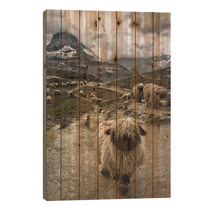 Out Of My Way Print On Wood by Susanne Landolt - Multi-Color - 26x18x1.5