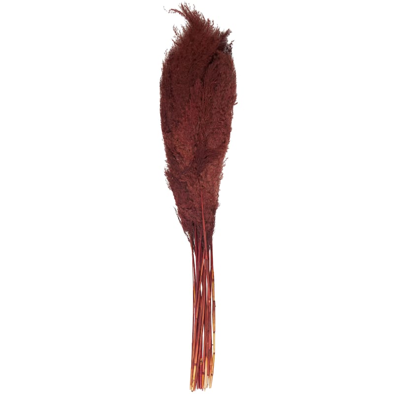 Red Dried Plant Pampas Grass Home Decor Natural Foliage with Long Stems