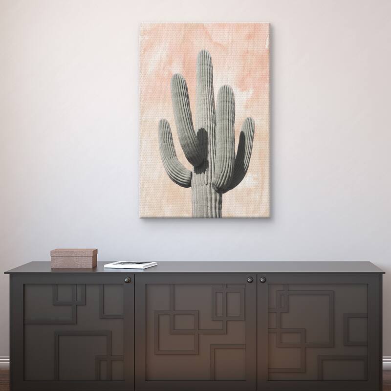 Desert Wash Coral II by Belle Maison Canvas Art Print