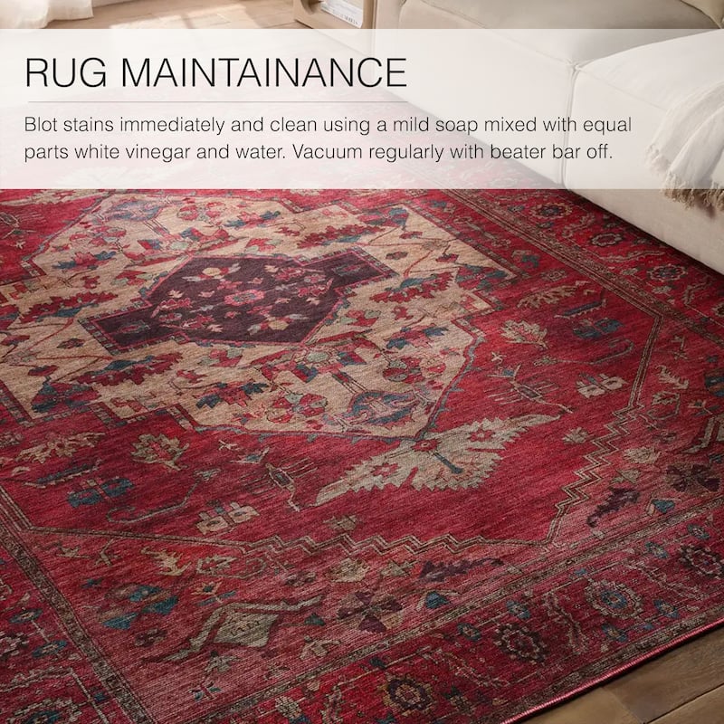Monroe Machine Washable Medallion Red/ Brown Area Rug
