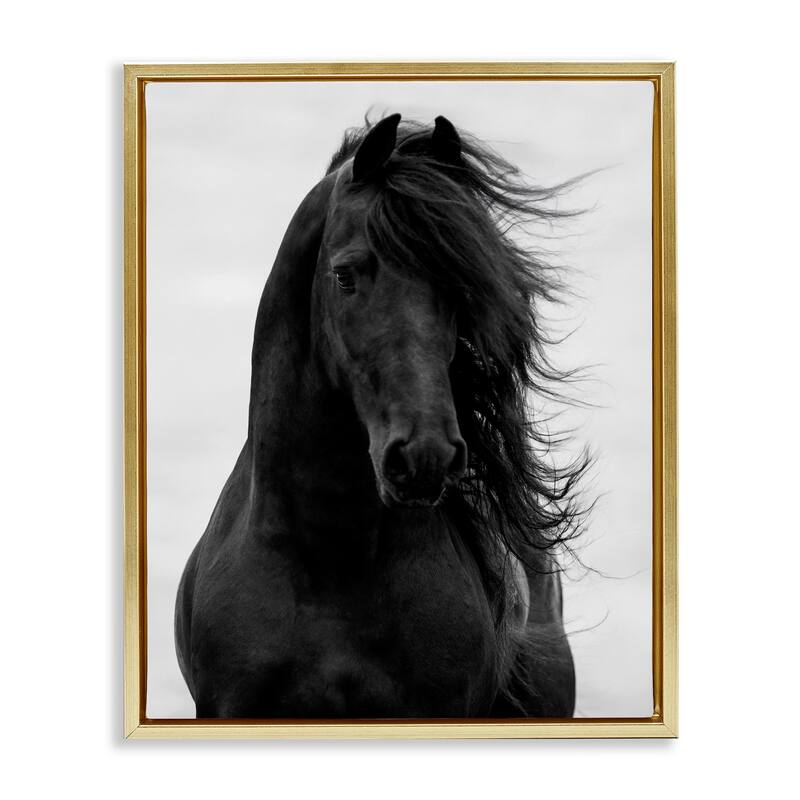 Stupell Black Stallion Horse Portrait Soft Grey Sky Photography Floater Frame