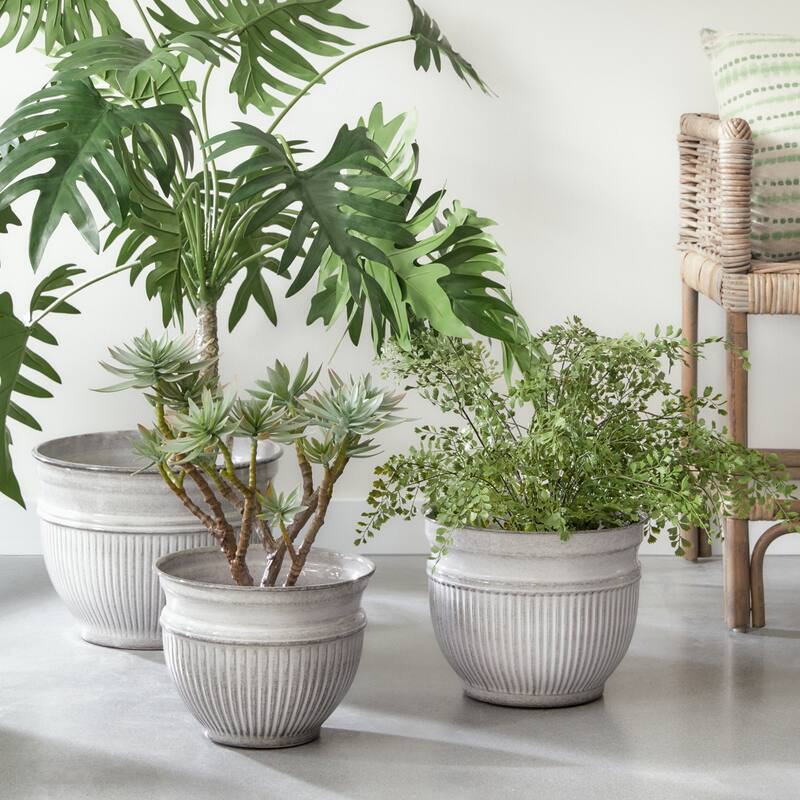Camelia Pots, Set Of 3 - 3pc Set