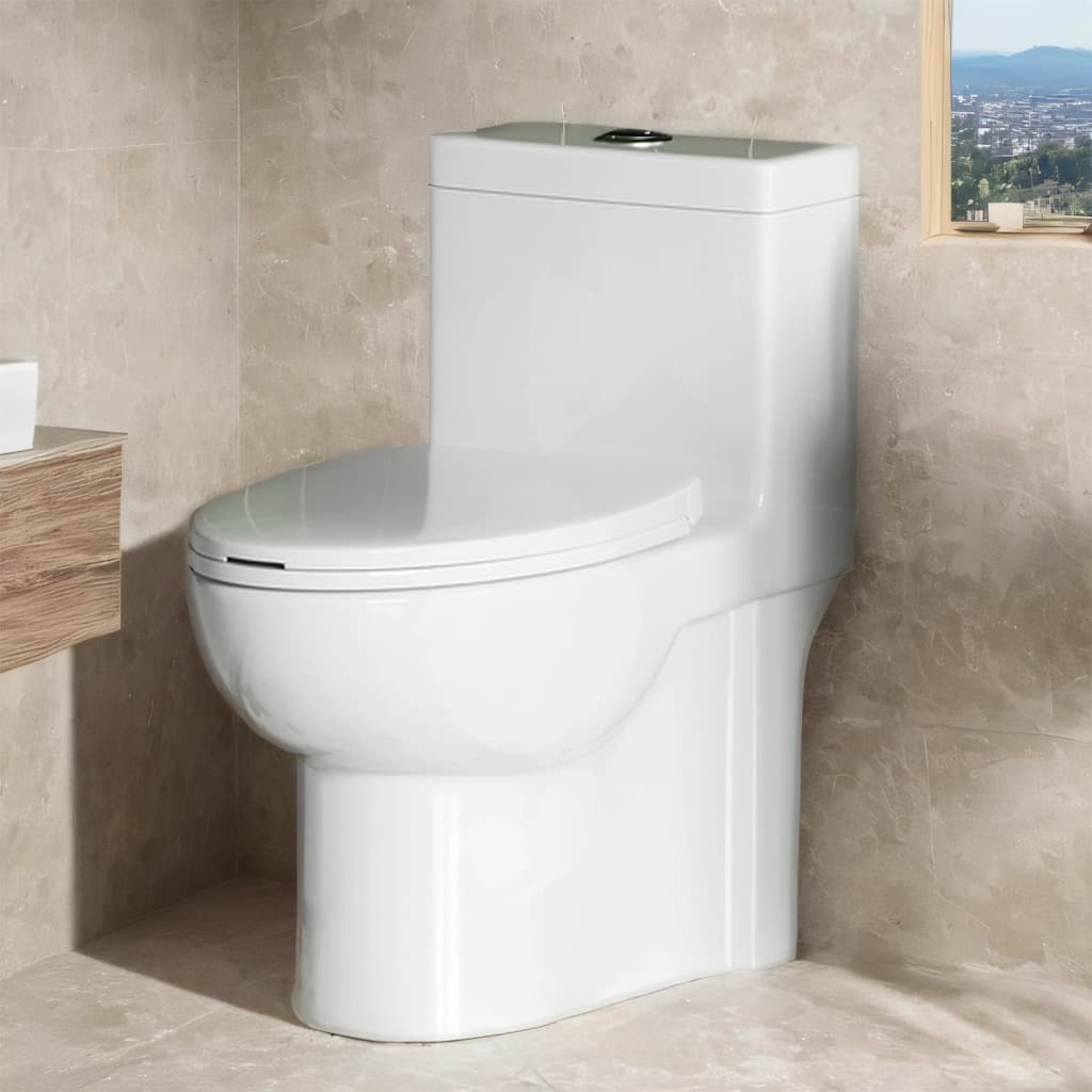 1.6/1.1GPF Dual-Flush One-Piece Toilet, Elongated ADA, 1000g MAP,White