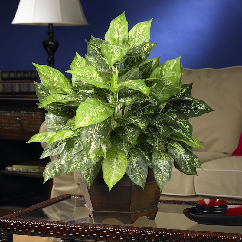 Silk Dieffenbachia Plant - 24 Inch Farmhouse Decor, Realistic Faux Plant with Planter, Indoor Greenery for Home & Office - 2ft.