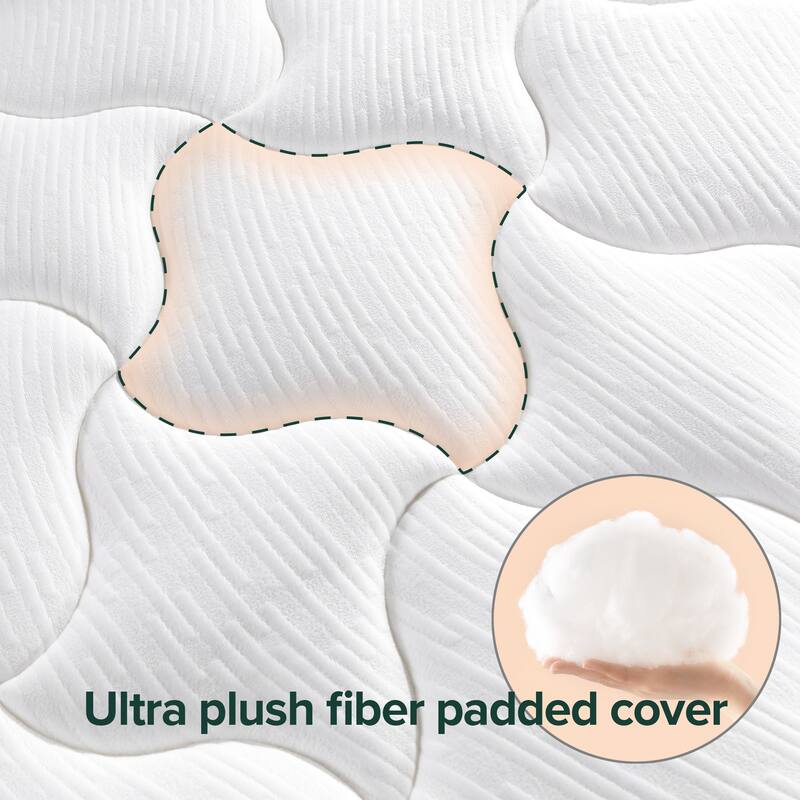 Priage by ZINUS 12-inch Cloud Memory Foam Mattress