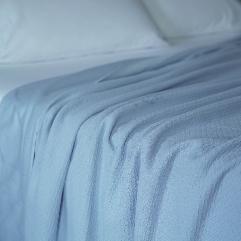 Vellux Sheet Blanket On Sale Bed Bath & Beyond 29483246