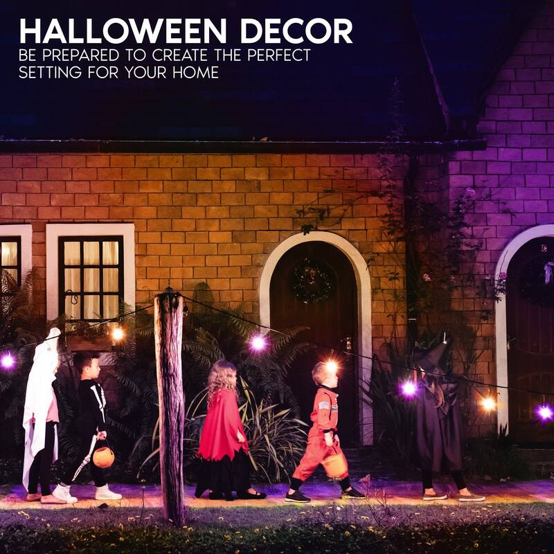Luxrite S14 Halloween LED Purple and Orange Light Bulbs 0.5W Outdoor String Lights UL E26 Indoor Outdoor