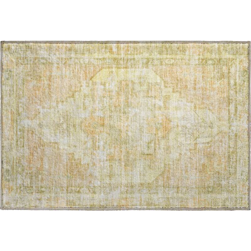Premium Washable Super Soft Vintage Traditional Mayfield Rug