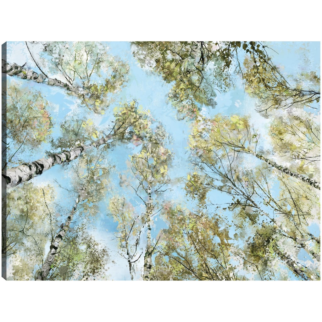 Above it All By Studio Arts Canvas Art Print