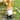 Fall Harvest Gnome in Maple Leaf Mushroom Hat Outdoor Garden Statue  - 16.5"