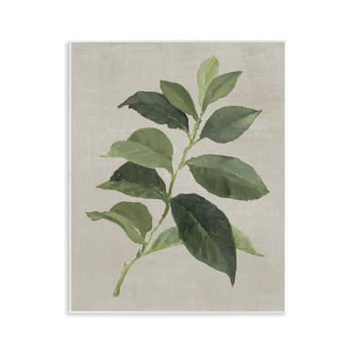 Stupell Arabica Coffee Plant Leaf Wall Plaque Art Design By Lanie Loreth