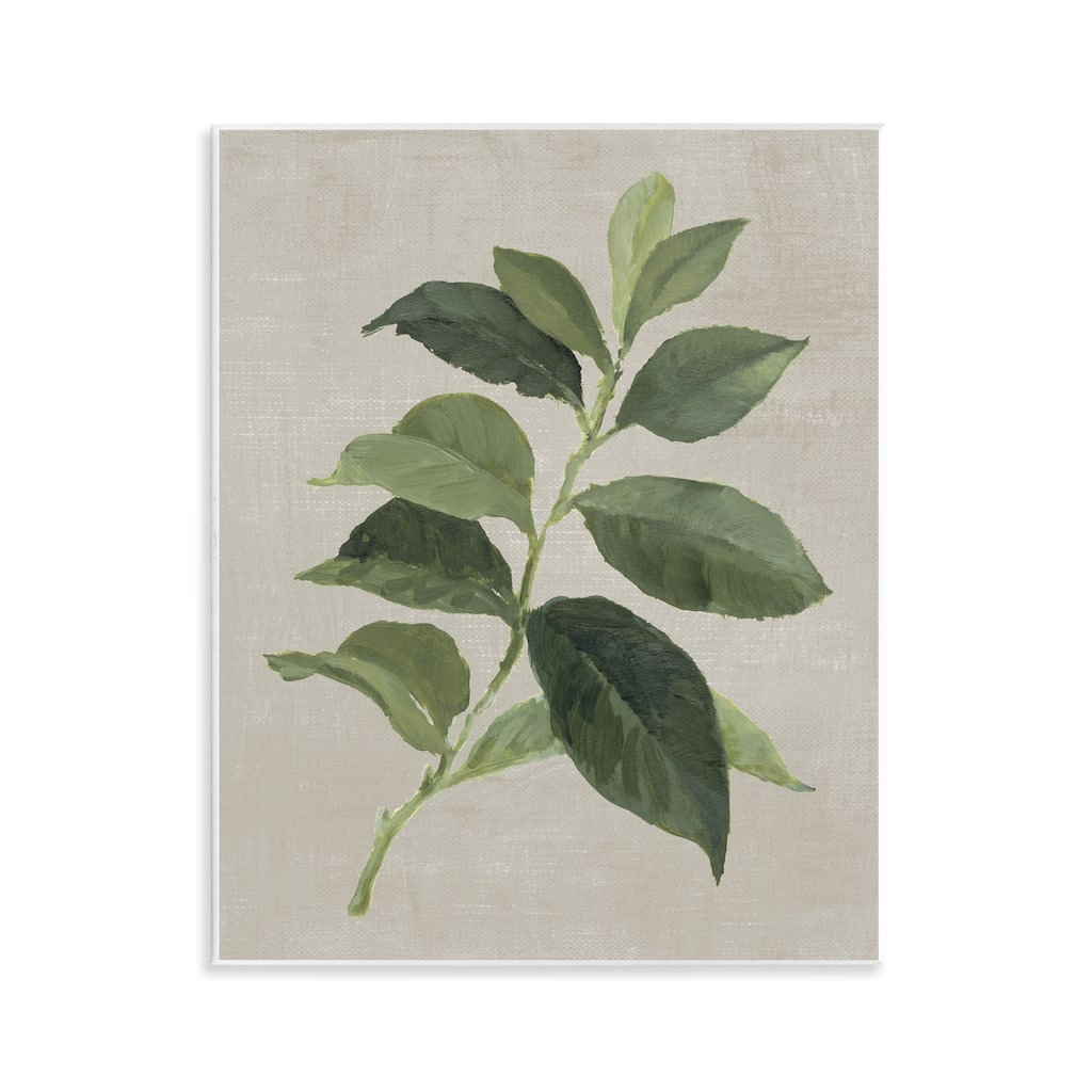 Stupell Arabica Coffee Plant Leaf Wall Plaque Art Design By Lanie Loreth