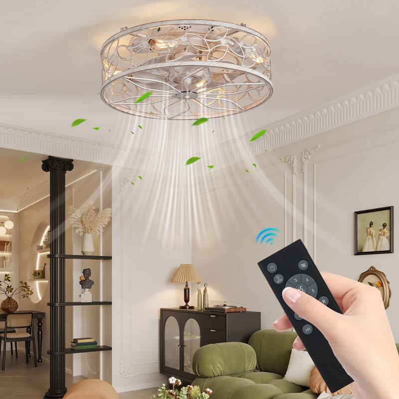 Vintage Cage Ceiling Fan Light with 6 Speed Wind Adjustment and Remote Control, DC Reversible Motor for Bedroom and Living Room