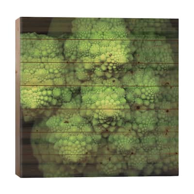 Lime Green Broccoflower Print On Wood by Magda Indigo - Multi-Color