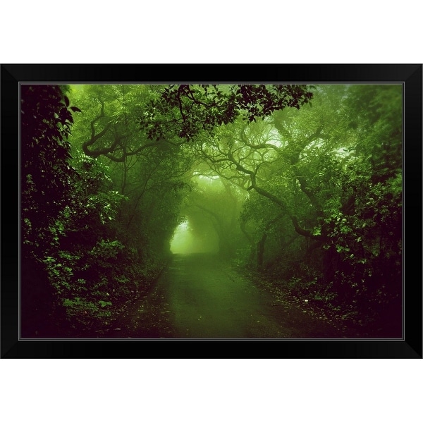 "Rainforest" Black Framed Print