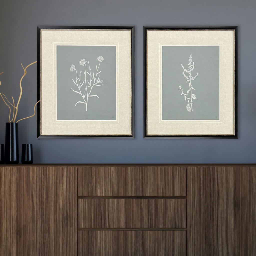 Paragon Nature's Gift II Framed Art - Set of 2