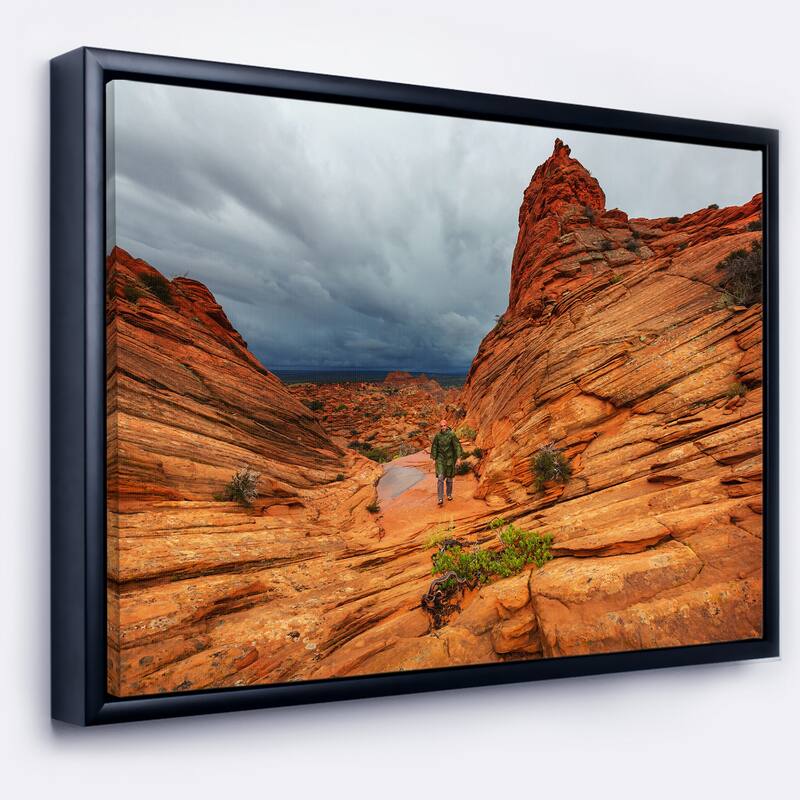 Designart "Vermillion Cliffs Wilderness" Oversized Landscape Framed