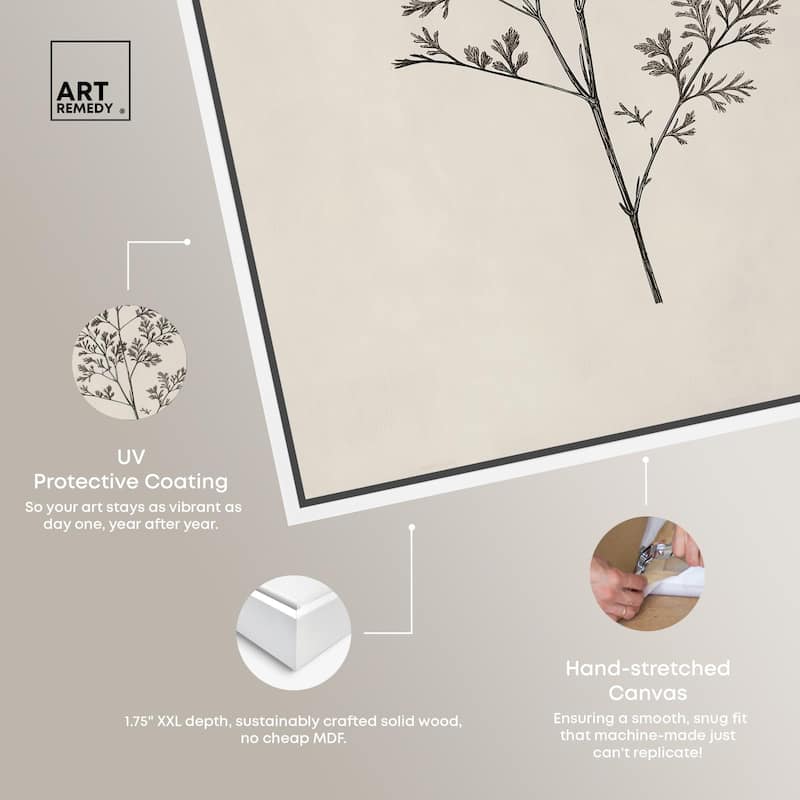Aniseed Anatomy II Canvas Delicate Floral by Art Remedy