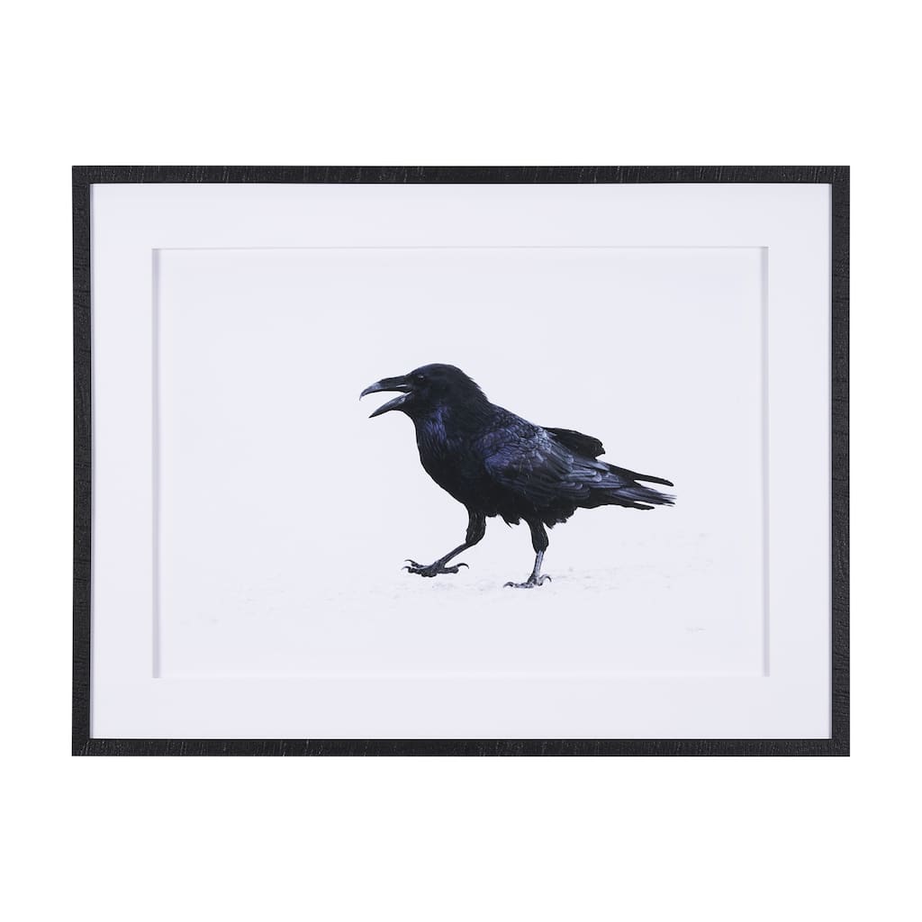 Raven Beauty