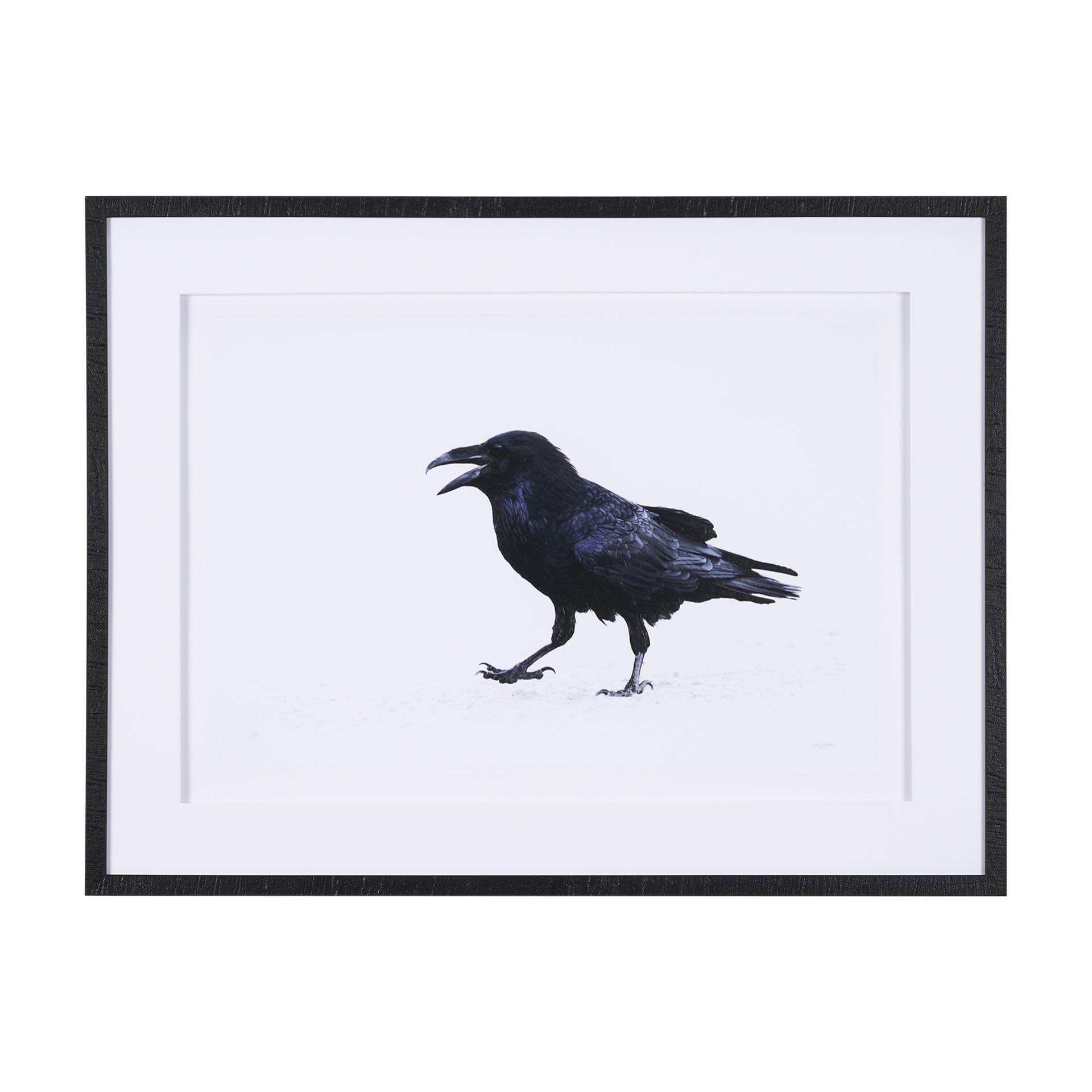 Mercana Raven Beauty by Gary Blatter a Hand Embellished Textured Framed Photo Art Print Matted under Glass